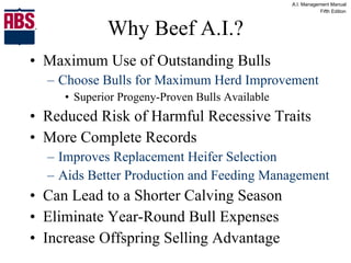 Why Beef A.I.? Maximum Use of Outstanding Bulls Choose Bulls for Maximum Herd Improvement Superior Progeny-Proven Bulls Available Reduced Risk of Harmful Recessive Traits More Complete Records Improves Replacement Heifer Selection Aids Better Production and Feeding Management Can Lead to a Shorter Calving Season Eliminate Year-Round Bull Expenses Increase Offspring Selling Advantage 