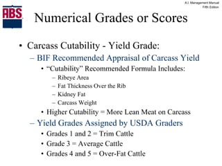 Numerical Grades or Scores Carcass Cutability - Yield Grade: BIF Recommended Appraisal of Carcass Yield “ Cutability” Recommended Formula Includes: Ribeye Area Fat Thickness Over the Rib Kidney Fat Carcass Weight Higher Cutability = More Lean Meat on Carcass Yield Grades Assigned by USDA Graders Grades 1 and 2 = Trim Cattle Grade 3 = Average Cattle Grades 4 and 5 = Over-Fat Cattle 