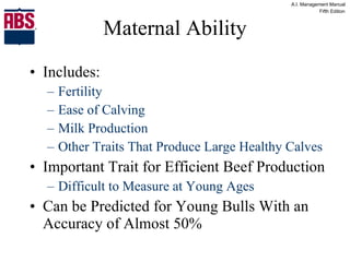 Maternal Ability Includes: Fertility Ease of Calving Milk Production Other Traits That Produce Large Healthy Calves Important Trait for Efficient Beef Production Difficult to Measure at Young Ages Can be Predicted for Young Bulls With an Accuracy of Almost 50% 