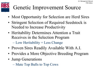 Genetic Improvement Source Most Opportunity for Selection are Herd Sires Stringent Selection of Required Seedstock is Needed to Increase Productivity Heritability Determines Attention a Trait Receives in the Selection Program Low Heritability = Less Change Proven Sires Readily Available With A.I. Provides a More Objective Breeding Program  Jump Generations Mate Top Bulls to Top Cows 