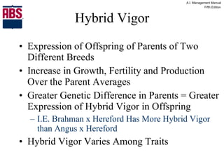 Hybrid Vigor Expression of Offspring of Parents of Two Different Breeds Increase in Growth, Fertility and Production Over the Parent Averages Greater Genetic Difference in Parents = Greater Expression of Hybrid Vigor in Offspring I.E. Brahman x Hereford Has More Hybrid Vigor than Angus x Hereford Hybrid Vigor Varies Among Traits 