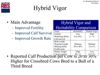 Hybrid Vigor Main Advantage Improved Fertility Improved Calf Survival Improved Growth Rate Reported Calf Production per Cow is 20 to 30% Higher for Crossbred Cows Bred to a Bull of a Third Breed 