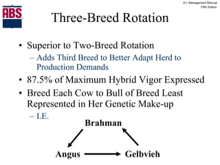 Three-Breed Rotation Superior to Two-Breed Rotation Adds Third Breed to Better Adapt Herd to Production Demands 87.5% of Maximum Hybrid Vigor Expressed Breed Each Cow to Bull of Breed Least Represented in Her Genetic Make-up I.E.  Brahman Gelbvieh Angus 