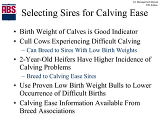 Selecting Sires for Calving Ease Birth Weight of Calves is Good Indicator Cull Cows Experiencing Difficult Calving  Can Breed to Sires With Low Birth Weights 2-Year-Old Heifers Have Higher Incidence of Calving Problems Breed to Calving Ease Sires Use Proven Low Birth Weight Bulls to Lower Occurrence of Difficult Births Calving Ease Information Available From Breed Associations 
