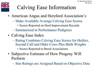 Calving Ease Information American Angus and Hereford Association’s Make Available Average Calving Ease Scores Scores Reported on Herd Improvement Records Summarized in Performance Pedigrees Calving Ease Index Rating Combines Calving Ease Scores for Heifers, Second Calf and Older Cows Plus Birth Weights Scores Reported to Breed Associations Subjective Estimate of How Progeny Will Perform Star Ratings are Assigned Based on Objective Data 
