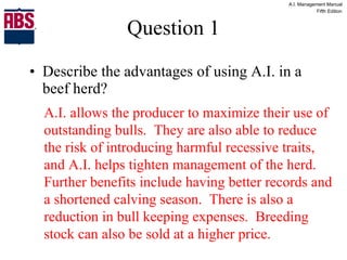 Question 1 Describe the advantages of using A.I. in a beef herd? A.I. allows the producer to maximize their use of outstanding bulls.  They are also able to reduce the risk of introducing harmful recessive traits, and A.I. helps tighten management of the herd.  Further benefits include having better records and a shortened calving season.  There is also a reduction in bull keeping expenses.  Breeding stock can also be sold at a higher price. 