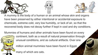 A mummy is the body of a human or an animal whose skin and organs
have been preserved by either intentional or accidental exposure to
chemicals, extreme cold, very low humidity, or lack of air, so that the
recovered body does not decay further if kept in cool and dry conditions.
Mummies of humans and other animals have been found on every
………….continent, both as a result of natural preservation through
………….unusual conditions, and as cultural artifacts. Over one
………….million animal mummies have been found in Egypt,
………….many of which are cats.
 