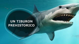 UN TIBURON
PREHISTORICO
 