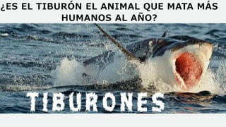 ¿ES EL TIBURÓN EL ANIMAL QUE MATA MÁS
HUMANOS AL AÑO?
 