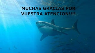 MUCHAS GRACIAS POR
VUESTRA ATENCION!!!!
 