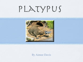 platypus



  By Aimee Davis
 
