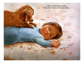 L'été, à cause des insectes,
il faut dormir avec un mousquetaire...
 