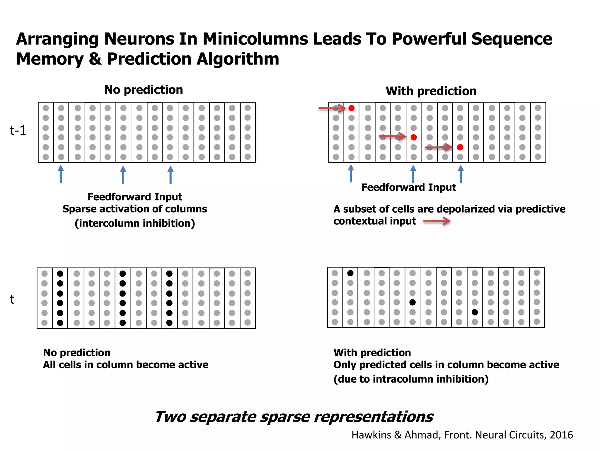 Feedforward Input
Sparse activation of columns
(intercolumn inhibition)
No prediction
All cells in column become active
With prediction
Only predicted cells in column become active
(due to intracolumn inhibition)
Arranging Neurons In Minicolumns Leads To Powerful Sequence
Memory & Prediction Algorithm
t-1
t
Two separate sparse representations
No prediction
A subset of cells are depolarized via predictive
contextual input
With prediction
Feedforward Input
Hawkins & Ahmad, Front. Neural Circuits, 2016
 