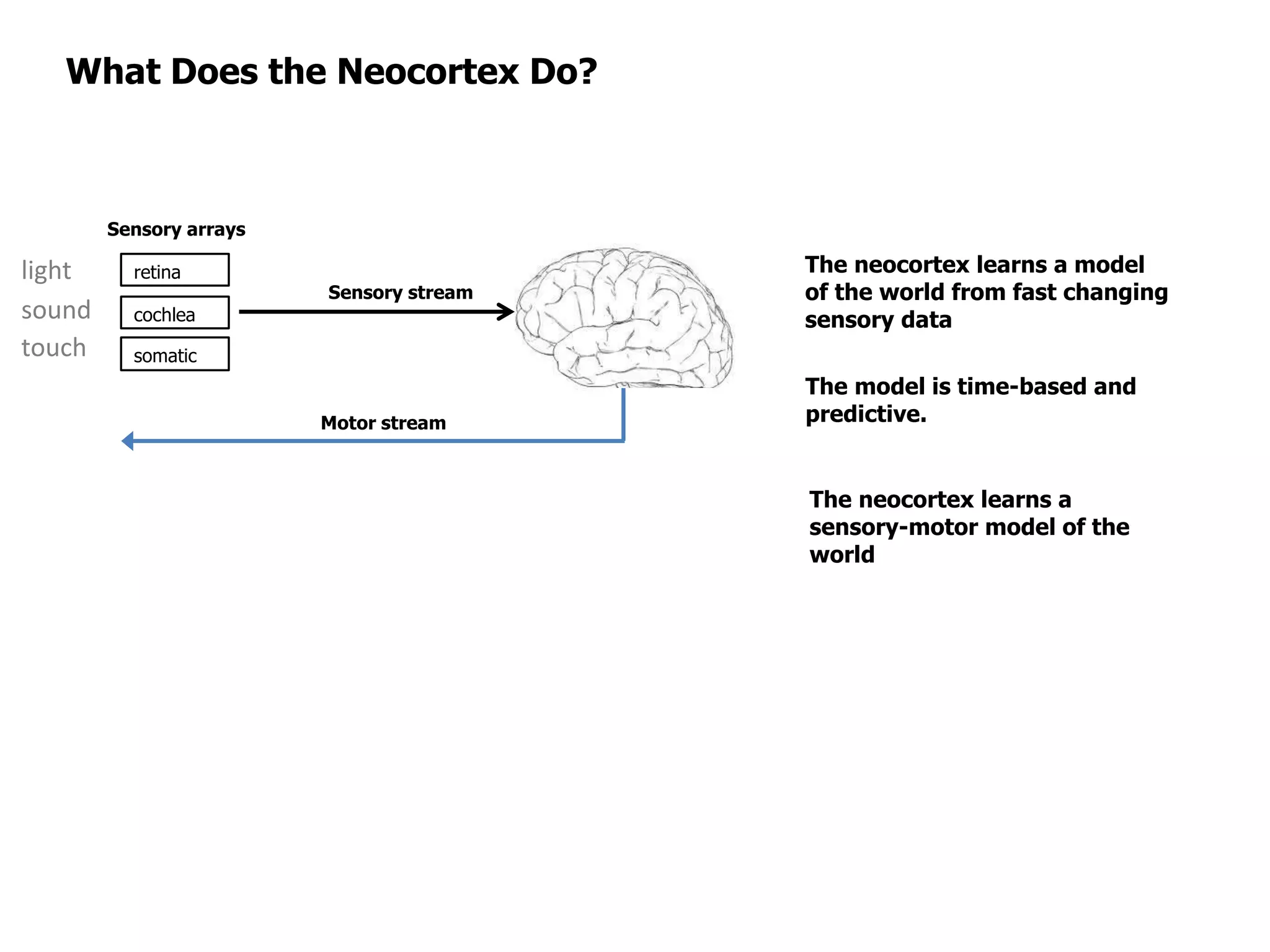 What Does the Neocortex Do?
Sensory stream
retina
cochlea
somatic
The neocortex learns a model
of the world from fast changing
sensory data
Sensory arrays
Motor stream
The model is time-based and
predictive.
light
sound
touch
The neocortex learns a
sensory-motor model of the
world
 