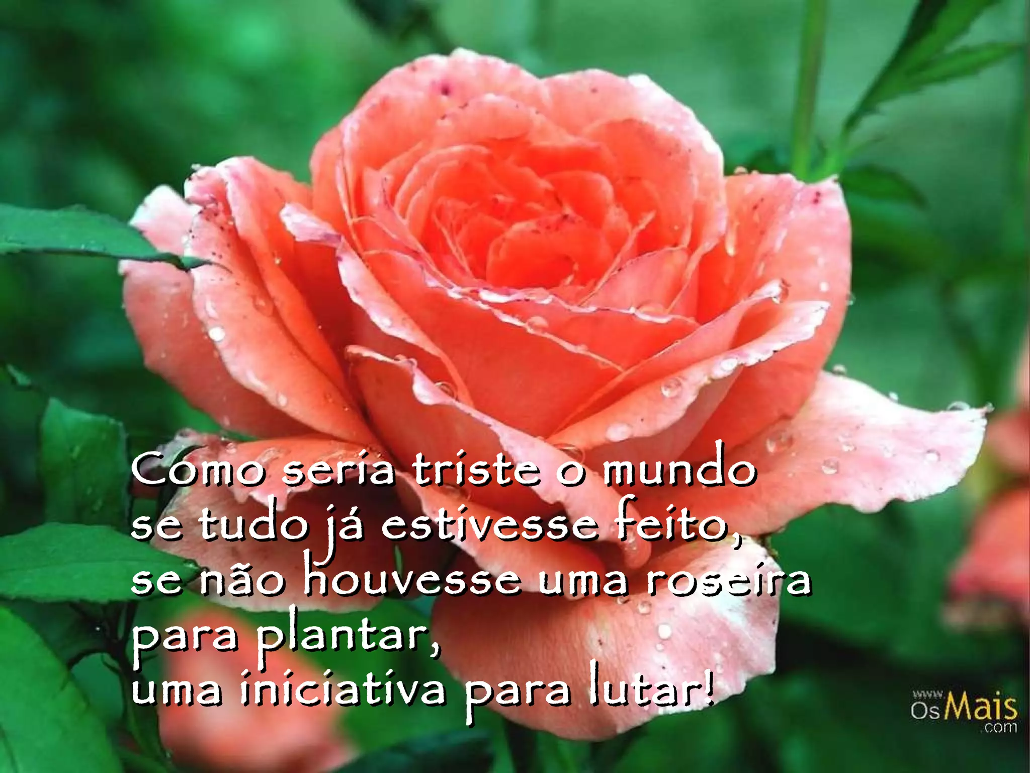 Como seria triste o mundo se tudo já estivesse feito, se não houvesse uma roseira para plantar, uma iniciativa para lutar! 