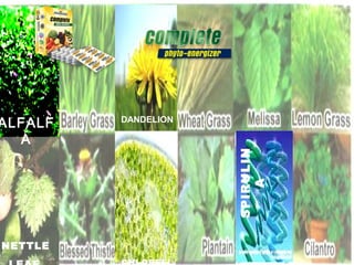 WholePRODUCT
                    Fruit Juice Blends


                                            Whole Fruit Juice Blends

 • More than 16,000 Phythonutrients
 • Breakthrough Product
 • 29 Vitamins and Minerals/T.M.
 • 12 Whole Fruit Juice Blend
ALFALF                DANDELION
 • 12 Whole Vegetable Juice Blend
   A           Whole Veggies Blends
 • 18 Amino AcidsMushrooms                 Whole Veggies Blends




                                      SPIRULIN
 • 14 Green Foods/Spirulina Blend
 • 12 Mushrooms




                                          A
 • 12 Digestive Enzymes                                  Mushrooms


 • 12 Specialty Nutrients
 • 10 Essential Fatty Acids
 • Complete Disintegration 18 mins.
 • 100 %
NETTLE Excipient Free
 