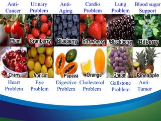 Eye
Problem
Digestive
Problem
Cholesterol
Problem
Gallstone
Problem
Anti-
Tumor
Anti-
Cancer
Urinary
Problem
Anti-
Aging
Cardio
Problem
Lung
Problem
Blood sugar
Support
Heart
Problem
 