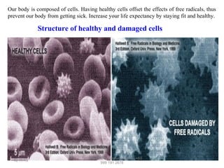 Our body is composed of cells. Having healthy cells offset the effects of free radicals, thus
prevent our body from getting sick. Increase your life expectancy by staying fit and healthy.

Structure of healthy and damaged cells

12/17/13

For Inquiries or Product Orders, +63
999 191 2678

 