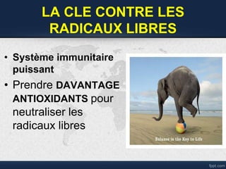 • Système immunitaire
puissant
• Prendre DAVANTAGE
ANTIOXIDANTS pour
neutraliser les
radicaux libres
LA CLE CONTRE LES
RADICAUX LIBRES
 