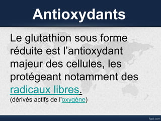 Antioxydants
Le glutathion sous forme
réduite est l’antioxydant
majeur des cellules, les
protégeant notamment des
radicaux libres.
(dérivés actifs de l'oxygène)
 