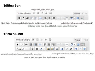 Kitchen Sink: Editing Bar: 