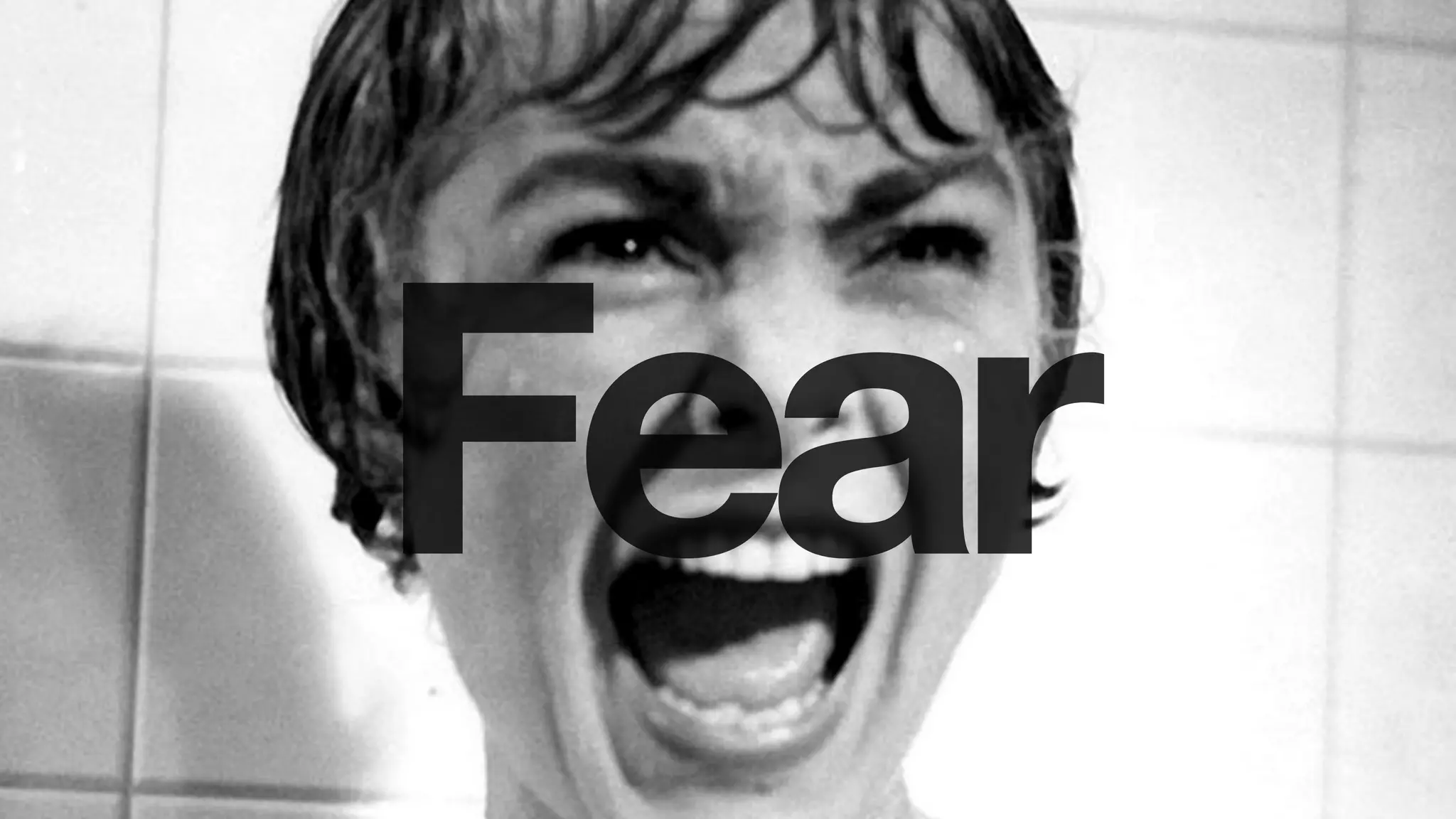 Fear
 