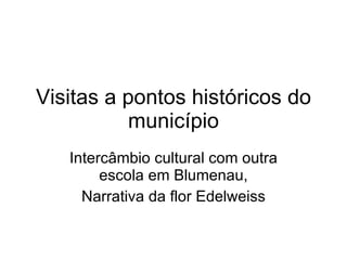 Visitas a pontos históricos do município Intercâmbio cultural com outra escola em Blumenau, Narrativa da flor Edelweiss 