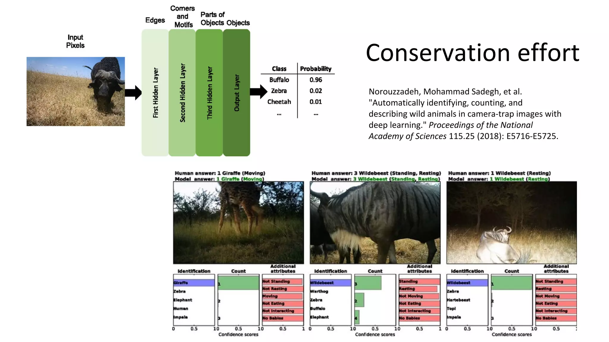 Conservation effort
Norouzzadeh, Mohammad Sadegh, et al.
"Automatically identifying, counting, and
describing wild animals in camera-trap images with
deep learning." Proceedings of the National
Academy of Sciences 115.25 (2018): E5716-E5725.
 