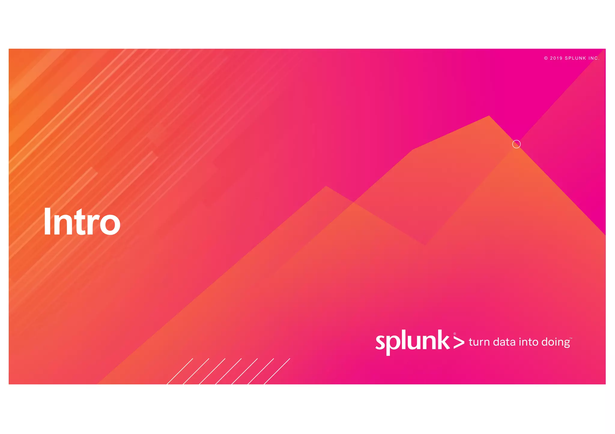 © 2 0 1 9 S P L U N K I N C .
Intro
 