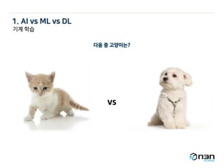 vs
다음 중 고양이는?
기계 학습
1. AI vs ML vs DL
 