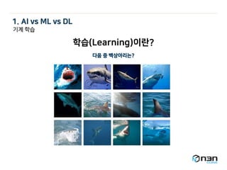 학습(Learning)이란?
다음 중 백상아리는?
기계 학습
1. AI vs ML vs DL
 