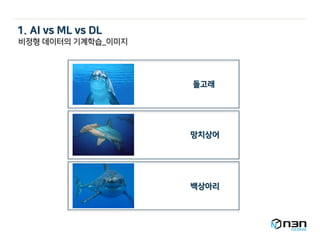 돌고래
망치상어
백상아리
비정형 데이터의 기계학습_이미지
1. AI vs ML vs DL
 
