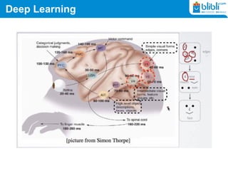Deep Learning
 
