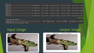 Input image output image
 