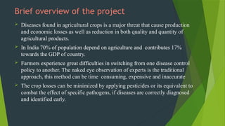 Brief overview of the project
 Diseases found in agricultural crops is a major threat that cause production
and economic losses as well as reduction in both quality and quantity of
agricultural products.
 In India 70% of population depend on agriculture and contributes 17%
towards the GDP of country.
 Farmers experience great difficulties in switching from one disease control
policy to another. The naked eye observation of experts is the traditional
approach, this method can be time consuming, expensive and inaccurate
 The crop losses can be minimized by applying pesticides or its equivalent to
combat the effect of specific pathogens, if diseases are correctly diagnosed
and identified early.
 