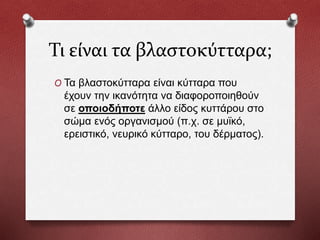 Τι είναι τα βλαστοκύτταρα;
O Τα βλαστοκύτταρα είναι κύτταρα που
έχουν την ικανότητα να διαφοροποιηθούν
σε οποιοδήποτε άλλο είδος κυττάρου στο
σώμα ενός οργανισμού (π.χ. σε μυϊκό,
ερειστικό, νευρικό κύτταρο, του δέρματος).
 