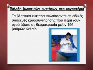 Φύλαξη βλαστικών κυττάρων στα εργαστήρια
Τα βλαστικά κύτταρα φυλάσσονται σε ειδικές
συσκευές κρυοσυντήρησης που περιέχουν
υγρό άζωτο σε θερμοκρασία μείον 196
βαθμών Κελσίου.
 