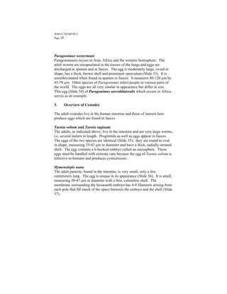 WHO/CTD/SIP/98.2
Page 10




Paragonimus westermani
Paragonimiasis occurs in Asia, Africa and the western hemisphere. The
adult worms are encapsulated in the tissues of the lungs and eggs are
discharged in sputum and in faeces. The egg is moderately large, ovoid in
shape, has a thick, brown shell and prominent operculum (Slide 33). It is
unembryonated when found in sputum or faeces. It measures 80-120 µm by
45-70 µm. Other species of Paragonimus infect people in various parts of
the world. The eggs are all very similar in appearance but differ in size.
This egg (Slide 34) of Paragonimus uterobilateralis which occurs in Africa
serves as an example.

3.    Overview of Cestodes

The adult cestodes live in the human intestine and those of interest here
produce eggs which are found in faeces.

Taenia solium and Taenia saginata
The adults, as indicated above, live in the intestine and are very large worms,
i.e. several meters in length. Proglottids as well as eggs appear in faeces.
The eggs of the two species are identical (Slide 35); they are round to oval
in shape, measuring 35-43 µm in diameter and have a thick, radially-striated
shell. The egg contains a 6-hooked embryo called an oncosphere. These
eggs must be handled with extreme care because the egg of Taenia solium is
infective to humans and produces cysticercosis.

Hymenolepis nana
The adult parasite, found in the intestine, is very small, only a few
centimeters long. The egg is unique in its appearance (Slide 36). It is small,
measuring 30-47 µm in diameter with a thin, colourless shell. The
membrane surrounding the hexacanth embryo has 4-8 filaments arising from
each pole that fill much of the space between the embryo and the shell (Slide
37).
 
