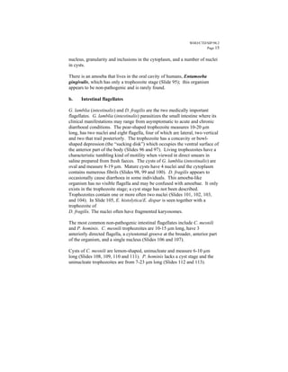 WHO/CTD/SIP/98.2
                                                                        Page 15


nucleus, granularity and inclusions in the cytoplasm, and a number of nuclei
in cysts.

There is an amoeba that lives in the oral cavity of humans, Entamoeba
gingivalis, which has only a trophozoite stage (Slide 95); this organism
appears to be non-pathogenic and is rarely found.

b.    Intestinal flagellates

G. lamblia (intestinalis) and D. fragilis are the two medically important
flagellates. G. lamblia (intestinalis) parasitizes the small intestine where its
clinical manifestations may range from asymptomatic to acute and chronic
diarrhoeal conditions. The pear-shaped trophozoite measures 10-20 µm
long, has two nuclei and eight flagella, four of which are lateral, two vertical
and two that trail posteriorly. The trophozoite has a concavity or bowl-
shaped depression (the “sucking disk”) which occupies the ventral surface of
the anterior part of the body (Slides 96 and 97). Living trophozoites have a
characteristic tumbling kind of motility when viewed in direct smears in
saline prepared from fresh faeces. The cysts of G. lamblia (intestinalis) are
oval and measure 8-19 µm. Mature cysts have 4 nuclei and the cytoplasm
contains numerous fibrils (Slides 98, 99 and 100). D. fragilis appears to
occasionally cause diarrhoea in some individuals. This amoeba-like
organism has no visible flagella and may be confused with amoebae. It only
exists in the trophozoite stage; a cyst stage has not been described.
Trophozoites contain one or more often two nuclei (Slides 101, 102, 103,
and 104). In Slide 105, E. histolytica/E. dispar is seen together with a
trophozoite of
D. fragilis. The nuclei often have fragmented karyosomes.

The most common non-pathogenic intestinal flagellates include C. mesnili
and P. hominis. C. mesnili trophozoites are 10-15 µm long, have 3
anteriorly directed flagella, a cytostomal groove at the broader, anterior part
of the organism, and a single nucleus (Slides 106 and 107).

Cysts of C. mesnili are lemon-shaped, uninucleate and measure 6-10 µm
long (Slides 108, 109, 110 and 111). P. hominis lacks a cyst stage and the
uninucleate trophozoites are from 7-23 µm long (Slides 112 and 113).
 