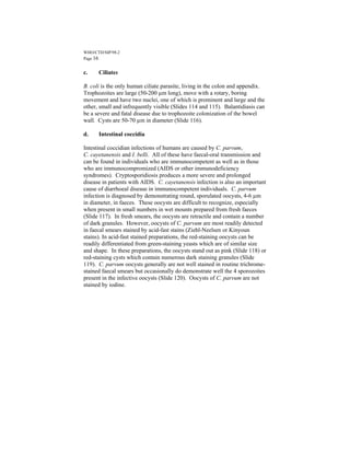 WHO/CTD/SIP/98.2
Page 16


c.    Ciliates

B. coli is the only human ciliate parasite, living in the colon and appendix.
Trophozoites are large (50-200 µm long), move with a rotary, boring
movement and have two nuclei, one of which is prominent and large and the
other, small and infrequently visible (Slides 114 and 115). Balantidiasis can
be a severe and fatal disease due to trophozoite colonization of the bowel
wall. Cysts are 50-70 µm in diameter (Slide 116).

d.    Intestinal coccidia

Intestinal coccidian infections of humans are caused by C. parvum,
C. cayetanensis and I. belli. All of these have faecal-oral transmission and
can be found in individuals who are immunocompetent as well as in those
who are immunocompromized (AIDS or other immunodeficiency
syndromes). Cryptosporidiosis produces a more severe and prolonged
disease in patients with AIDS. C. cayetanensis infection is also an important
cause of diarrhoeal disease in immunocompetent individuals. C. parvum
infection is diagnosed by demonstrating round, sporulated oocysts, 4-6 µm
in diameter, in faeces. These oocysts are difficult to recognize, especially
when present in small numbers in wet mounts prepared from fresh faeces
(Slide 117). In fresh smears, the oocysts are retractile and contain a number
of dark granules. However, oocysts of C. parvum are most readily detected
in faecal smears stained by acid-fast stains (Ziehl-Neelsen or Kinyoun
stains). In acid-fast stained preparations, the red-staining oocysts can be
readily differentiated from green-staining yeasts which are of similar size
and shape. In these preparations, the oocysts stand out as pink (Slide 118) or
red-staining cysts which contain numerous dark staining granules (Slide
119). C. parvum oocysts generally are not well stained in routine trichrome-
stained faecal smears but occasionally do demonstrate well the 4 sporozoites
present in the infective oocysts (Slide 120). Oocysts of C. parvum are not
stained by iodine.
 