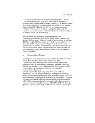 WHO/CTD/SIP/98.2
                                                                       Page 17


C. cayetanensis oocysts must be differentiated from those of C. parvum.
C. cayetanensis oocysts are larger, 8-10 µm in diameter, and are not
sporulated when excreted in faeces (Slides 121 and 122). In acid-fast stained
faecal smears, the oocysts of C. cayetanensis are variable in their staining
reaction (Slides 123, 124 and 125). Oocysts may appear as unstained ,
wrinkled, round spheres, or stain from a light pink to darker red. The
oocysts of C. cayetanensis can be detected in direct smears from fresh faeces
on the basis of their size and refractility.

Infection with I. belli occurs both in immunocompetent and
immunocompromized individuals but the disease is more prolonged and
severe in the latter group. Diagnosis is made by demonstrating typical large
(20-33 µm long by 10-19 µm wide), thin-walled, unsporulated oocysts in
faeces (Slide 126). Infections can be diagnosed by direct wet mount
examination or by flotation or sedimentation concentration procedures. In
acid-fast stained faecal smears, the sporoblast within the oocyst stains red
and frequently red stain is deposited on the outside of the thin oocyst wall
(Slides 127 and 128).

e.    Microsporidian infections

Various genera of the phylum microspora have been shown to cause human
disease, most frequently in individuals infected with AIDS.
Two microsporidians, Enterocytozoon bieneusi and Encephalitozoon
intestinalis, infect the intestinal tract and produce diarrhoea. Unlike the
amoebae and flagellates which produce cysts and the intestinal coccidians
which produce oocysts, characteristic spores are produced by
microsporidians. Spores are
typically oval, small (1-3 µm long) and difficult to find in faecal
examination. The best means of diagnosis is staining faecal smears by a
modification of the standard trichrome stain; in this modification, one of the
stain components, chromotrope 2R, is increased in concentration. The spore
wall stains a bright pink-red colour and many of the spores demonstrate a
red, belt-like stripe that encircles the spore equatorially. Spores may also
occur in urine and other bodily secretions (Slide 129). Slide 120 shows the
spores in a calcofluor white-KOH preparation with ultraviolet illumination.
 