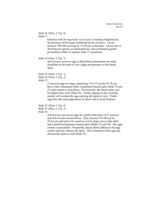 WHO/CTD/SIP/98.2
                                                                        Page 23


Slide 16 (Plate 2, Fig. 9)
Slide 17
        Infection with Strongyloides stercoralis is routinely diagnosed by
        the presence of first-stage rhabditoid larvae in faeces. Larvae
        measure 180-380 µm long by 14-20 µm in diameter. Larvae have a
        short buccal capsule, an attenuated tail, and a prominent genital
        primordium (Slide 16 stained, Slide 17 unstained).

Slide 18 (Plate 3, Fig. 3)
        Schistosoma mansoni eggs in Kato-Katz preparations are easily
        identified on the basis of size, shape and presence of the lateral
        spine.

Slide 19 (Plate 3, Fig. 1)
Slide 20 (Plate 3, Fig. 2)
Slide 21
        S. mansoni eggs are large, measuring 114-175 µm by 45-70 µm,
        have a thin, transparent shell, a prominent lateral spine (Slide 19 and
        21) and contain a miracidium. Occasionally, the lateral spine may
        be hidden from view (Slide 20). Gentle tapping on the coverslip
        usually will reorient the egg exposing the spine to view. Viable
        eggs have the same appearance in faeces and in rectal biopsies.

Slide 22 (Plate 3, Fig. 4)
Slide 23 (Plate 3, Fig. 5)
Slide 24
        Schistosoma japonicum eggs are smaller than those of S. mansoni
        and Schistosoma haematobium. They measure 70-100 µm by
        55-65 µm and tend to be round to oval in shape, have a thin shell
        and a small inconspicuous lateral spine (Slides 22 and 24). The eggs
        contain a miracidium. Frequently, faecal debris adheres to the egg
        surface and may obscure the spine. The orientation of the egg may
        obscure the spine as well (Slide 23).
 