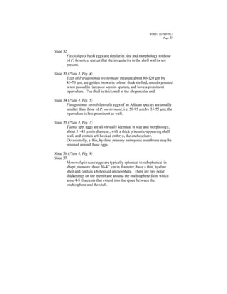 WHO/CTD/SIP/98.2
                                                                      Page 25



Slide 32
        Fasciolopsis buski eggs are similar in size and morphology to those
        of F. hepatica, except that the irregularity in the shell wall is not
        present.

Slide 33 (Plate 4, Fig. 4)
        Eggs of Paragonimus westermani measure about 80-120 µm by
        45-70 µm, are golden brown in colour, thick shelled, unembryonated
        when passed in faeces or seen in sputum, and have a prominent
        operculum. The shell is thickened at the abopercular end.

Slide 34 (Plate 4, Fig. 5)
        Paragonimus uterobilateralis eggs of an African species are usually
        smaller than those of P. westermani, i.e. 50-95 µm by 35-55 µm; the
        operculum is less prominent as well.

Slide 35 (Plate 4, Fig. 7)
        Taenia spp. eggs are all virtually identical in size and morphology,
        about 31-43 µm in diameter, with a thick prismatic-appearing shell
        wall, and contain a 6-hooked embryo, the onchosphere.
        Occasionally, a thin, hyaline, primary embryonic membrane may be
        retained around these eggs.

Slide 36 (Plate 4, Fig. 9)
Slide 37
        Hymenolepis nana eggs are typically spherical to subspherical in
        shape, measure about 30-47 µm in diameter, have a thin, hyaline
        shell and contain a 6-hooked onchosphere. There are two polar
        thickenings on the membrane around the onchosphere from which
        arise 4-8 filaments that extend into the space between the
        onchosphere and the shell.
 