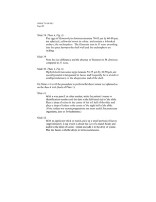 WHO/CTD/SIP/98.2
Page 26



Slide 38 (Plate 4, Fig. 8)
        The eggs of Hymenolepis diminuta measure 70-85 µm by 60-80 µm,
        are spherical, yellowish brown in colour, and contain a 6-hooked
        embryo, the onchosphere. The filaments seen in H. nana extending
        into the space between the shell wall and the onchosphere are
        lacking.

Slide 39
        Note the size difference and the absence of filaments in H. diminuta
        compared to H. nana.

Slide 40 (Plate 4, Fig. 6)
        Diphyllobothrium latum eggs measure 58-75 µm by 40-50 µm, are
        unembryonated when passed in faeces and frequently have a knob or
        small protuberance on the abopercular end of the shell.

On Slides 41 to 43 the procedure to perform the direct smear is explained as
on the Bench Aids (back of Plate 1).

Slide 41
        With a wax pencil or other marker, write the patient’s name or
        identification number and the date at the left-hand side of the slide.
        Place a drop of saline in the centre of the left half of the slide and
        place a drop of iodine in the centre of the right half of the slide.
        (Note: iodine wet mount preparations are most useful for protozoan
        organisms, less so for helminths.)

Slide 42
        With an applicator stick or match, pick up a small portion of faeces
        (approximately 2 mg which is about the size of a match head) and
        add it to the drop of saline: repeat and add it to the drop of iodine.
        Mix the faeces with the drops to form suspensions.
 