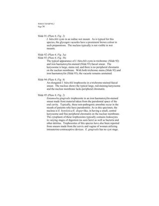 WHO/CTD/SIP/98.2
Page 36



Slide 91 (Plate 6, Fig. 2)
        I. bütschlii cysts in an iodine wet mount. As is typical for this
        species, the glycogen vacuoles have a prominent brown colour in
        such preparations. The nucleus typically is not visible in wet
        mounts.

Slide 92 (Plate 6, Fig. 5a)
Slide 93 (Plate 6, Fig. 5b)
        The typical appearance of I. bütschlii cysts in trichrome- (Slide 92)
        and iron haematoxylin-stained (Slide 93) faecal smear. The
        karyosome is large, stains red, and there is no peripheral chromatin
        on the nuclear membrane. With both trichrome stains (Slide 92) and
        iron haematoxylin (Slide 93), the vacuole remains unstained.

Slide 94 (Plate 6, Fig. 8)
        An elongated I. bütschlii trophozoite in a trichrome-stained faecal
        smear. The nucleus shows the typical large, red-staining karyosome
        and the nuclear membrane lacks peripheral chromatin.

Slide 95 (Plate 8, Fig. 2)
        Entamoeba gingivalis trophozoite in an iron haematoxylin-stained
        smear made from material taken from the parodontal space of the
        oral cavity. Typically, these non-pathogenic amoebae occur in the
        mouth of patients who have parodontitis. As in this specimen, the
        nucleus is E. histolytica/E. dispar-like, in having a small, central
        karyosome and fine peripheral chromatin on the nuclear membrane.
        The cytoplasm of these trophozoites typically contains leukocytes
        in varying stages of digestion (as seen here) as well as bacteria and
        other detritus. Trophozoites of this species have also been reported
        from smears made from the cervix and vagina of women utilizing
        intrauterine-contraceptive devices. E. gingivalis has no cyst stage.
 