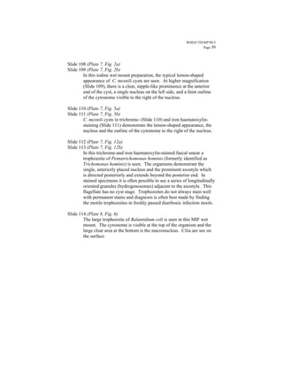 WHO/CTD/SIP/98.2
                                                                         Page 39



Slide 108 (Plate 7, Fig. 2a)
Slide 109 (Plate 7, Fig. 2b)
        In this iodine wet mount preparation, the typical lemon-shaped
        appearance of C. mesnili cysts are seen. At higher magnification
        (Slide 109), there is a clear, nipple-like prominence at the anterior
        end of the cyst, a single nucleus on the left side, and a faint outline
        of the cytostome visible to the right of the nucleus.

Slide 110 (Plate 7, Fig. 5a)
Slide 111 (Plate 7, Fig. 5b)
        C. mesnili cysts in trichrome- (Slide 110) and iron haematoxylin-
        staining (Slide 111) demonstrate the lemon-shaped appearance, the
        nucleus and the outline of the cytostome to the right of the nucleus.

Slide 112 (Plate 7, Fig. 12a)
Slide 113 (Plate 7, Fig. 12b)
        In this trichrome-and iron haematoxylin-stained faecal smear a
        trophozoite of Pentatrichomonas hominis (formerly identified as
        Trichomonas hominis) is seen. The organisms demonstrate the
        single, anteriorly placed nucleus and the prominent axostyle which
        is directed posteriorly and extends beyond the posterior end. In
        stained specimens it is often possible to see a series of longitudinally
        oriented granules (hydrogenosomes) adjacent to the axostyle. This
        flagellate has no cyst stage. Trophozoites do not always stain well
        with permanent stains and diagnosis is often best made by finding
        the motile trophozoites in freshly passed diarrhoeic infection stools.

Slide 114 (Plate 8, Fig. 6)
        The large trophozoite of Balantidium coli is seen in this MIF wet
        mount. The cytostome is visible at the top of the organism and the
        large clear area at the bottom is the macronucleus. Cilia are see on
        the surface.
 