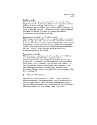 WHO/CTD/SIP/98.2
                                                                       Page 7


Trichostrongyles
Species of Trichostrongylus are usually small worms, less than 1 cm in
length that live in the small intestine and are of minor importance as human
parasites. However, their eggs are hookworm-like. Typically,
trichostrongyle eggs resemble the eggs of the hookworms but are larger, 70-
95 µm by 40-50 µm (Slide 14). The thin shell is slightly pointed rather than
flattened at one pole and the ovum is in a more advanced state of
segmentation than is seen in hookworm eggs.

Oesophagostomum species and Ternidens species
These two parasites produce hookworm-like eggs that tend to be larger than
hookworm eggs. The adult worms are somewhat larger than those of either
N. americanus or A. duodenale and both live primarily in the colon of people
living in Africa. Oesophagostomum bifurcum eggs are only slightly larger
than hookworm eggs whereas eggs of Ternidens deminutus measure 85 µm
by 50 µm (Slide 15). In both, the ovum is in an advanced state of
segmentation and nearly fills the shell.

Strongyloides stercoralis
This is an important nematode parasite of humans because of its ability to
autoinfect and disseminate throughout the organ systems of
immunocompromized or immunosuppressed individuals or others with
malignancies, e.g. lymphoma. This nematode parasite produces rhabditoid
larvae (Slides 16 and 17) instead of eggs, which are found in faeces. The
larva measures 180-380 µm in length by 14 - 20 µm in diameter. It has a
short buccal capsule, a slender, pointed tail and a prominent genital
primordium. The larva is easily recognized, either stained with iodine (Slide
16) or not (Slide 17).

2.    Overview of Trematodes

The trematodes are usually referred to as flukes. They are solid-bodied
worms, hermaphroditic (except schistosomes) and have a complicated life
cycle that always involves a snail intermediate host as well as, in many
instances, a second intermediate host. Depending on the species, trematodes
inhabit the intestine, liver, lungs or blood vessels of their hosts.
 