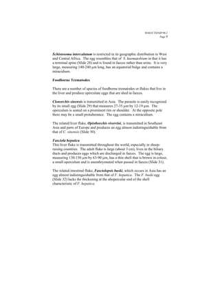 WHO/CTD/SIP/98.2
                                                                         Page 9




Schistosoma intercalatum is restricted in its geographic distribution to West
and Central Africa. The egg resembles that of S. haematobium in that it has
a terminal spine (Slide 28) and is found in faeces rather than urine. It is very
large, measuring 140-240 µm long, has an equatorial bulge and contains a
miracidium.

Foodborne Trematodes

There are a number of species of foodborne trematodes or flukes that live in
the liver and produce operculate eggs that are shed in faeces.

Clonorchis sinensis is transmitted in Asia. The parasite is easily recognized
by its small egg (Slide 29) that measures 27-35 µm by 12-19 µm. The
operculum is seated on a prominent rim or shoulder. At the opposite pole
there may be a small protuberance. The egg contains a miracidium.

The related liver fluke, Opisthorchis viverrini, is transmitted in Southeast
Asia and parts of Europe and produces an egg almost indistinguishable from
that of C. sinensis (Slide 30).

Fasciola hepatica
This liver fluke is transmitted throughout the world, especially in sheep-
raising countries. The adult fluke is large (about 3 cm), lives in the biliary
ducts and produces eggs which are discharged in faeces. The egg is large,
measuring 130-150 µm by 63-90 µm, has a thin shell that is brown in colour,
a small operculum and is unembryonated when passed in faeces (Slide 31).

The related intestinal fluke, Fasciolopsis buski, which occurs in Asia has an
egg almost indistinguishable from that of F. hepatica. The F. buski egg
(Slide 32) lacks the thickening at the abopercular end of the shell
characteristic of F. hepatica.
 