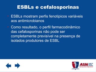 ESBLs e cefalosporinas ESBLs mostram perfis fenotipicos variáveis aos antimicrobianos Como resultado, o perfil farmacodinâmico das cefalosporinas não pode ser completamente previsível na presença de isolados produtores de ESBL 