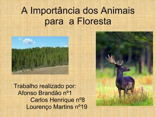 A Importância dos Animais para  a Floresta Trabalho realizado por:  Afonso Brandão nº1  Carlos Henrique nº8 Lourenço Martins nº19  